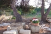 Villa:&nbsp;Villa Mola