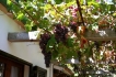 Vakantiehuis:&nbsp;Torrandell