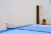 Vakantiewoning:&nbsp;Miguel Angel 