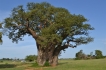 Vakantiewoning:&nbsp;vakantiehuis KRUGER ESTATE WILD OLIVE