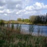 19- Villa Villa 217, Harderwijk: Das Golf- und Waldresort Harderworld liegt an der Grenze von Harderwijk und Zeewolde.