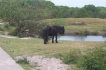 Ferienhaus:&nbsp;La Perle Zeeland