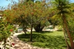 Villa:&nbsp;Casa da Oura