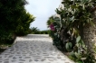 Villa:&nbsp;JOAQUIN