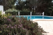 Villa:&nbsp;Villa  Colina