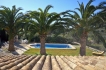 Ferienhaus:&nbsp;Cuatro Palmeras
