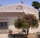 calamar