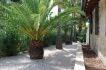 Villa:&nbsp;Villa Losina