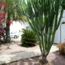 9- Villa Villa Maria 35387, Quesada: 